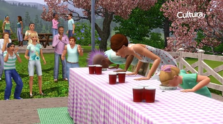 media/pim/sims-3-saisons-extension-5030931109072_5.jpg