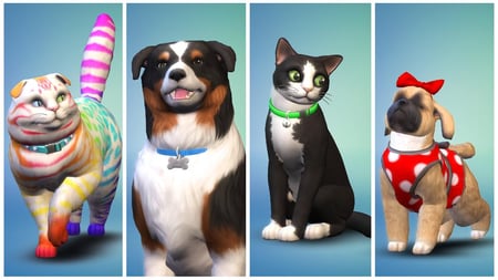media/pim/sims-4-chiens-et-chats-pc-vf-5030944116876_3.jpg