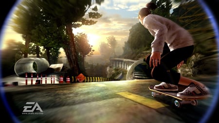 media/pim/skate-2-x360-5030931068119_5.jpg