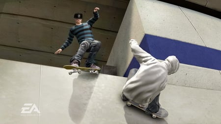 media/pim/skate-3-5030931084614_8.jpg