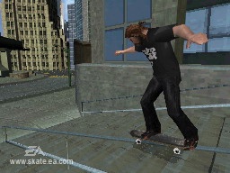 media/pim/skate-it-ds-5030931067532_2.jpg