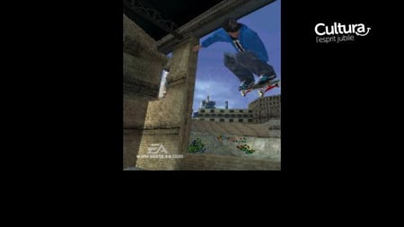 media/pim/skate-it-ds-5030931067532_3.jpg