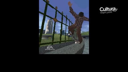 media/pim/skate-it-ds-5030931067532_4.jpg