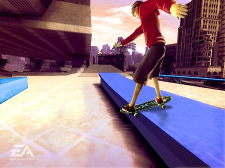 media/pim/skate-it-wii-5030931067044_9.jpg