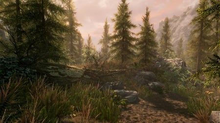 media/pim/skyrim-special-edition-5055856411505_7.jpg