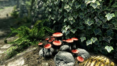 media/pim/skyrim-special-edition-5055856411505_9.jpg