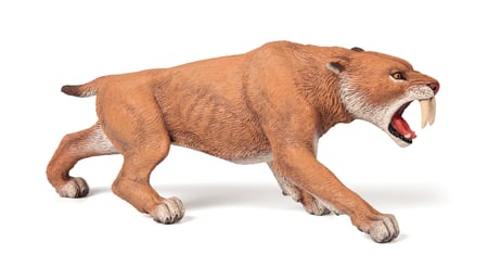 media/pim/smilodon-smilodon-3465000550226_0.jpg