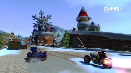 media/pim/sonic-sega-all-stars-racing-5055277004119_6.jpg
