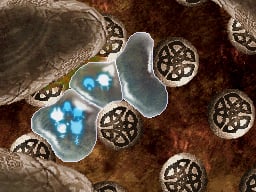 media/pim/soul-bubbles-ds-5021290036369_5.jpg