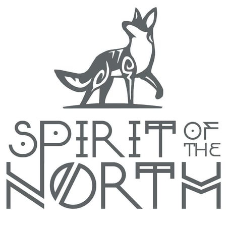 media/pim/spirit-of-the-north-ps5-5060264375950_19.jpg