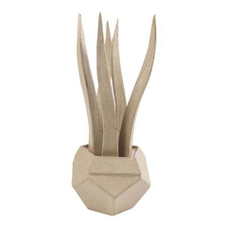 media/pim/succulente-h22cm-3609510010485_0.jpg