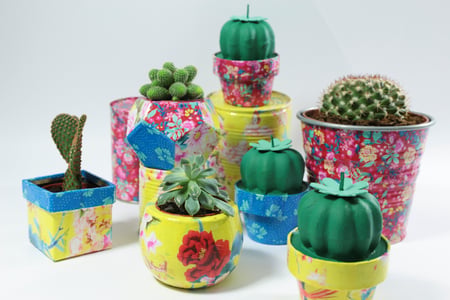 media/pim/succulente-h22cm-3609510010485_10.JPG