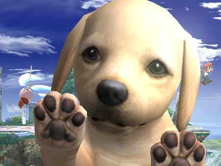 media/pim/super-smashbros-brawl-wii-0045496365905_3.jpg
