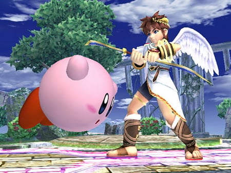 media/pim/super-smashbros-brawl-wii-0045496365905_9.jpg