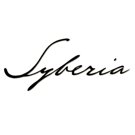 media/pim/syberia-reedition-3700664525259_13.jpg