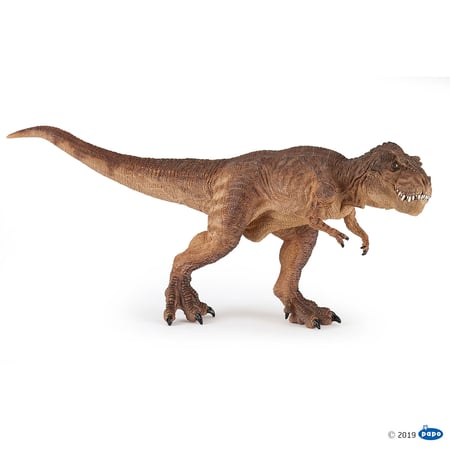 media/pim/t-rex-courant-marron-3465000550752_0.jpg