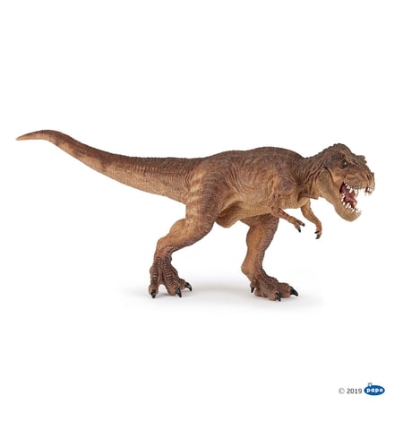 media/pim/t-rex-courant-marron-3465000550752_6.jpg