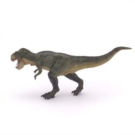 media/pim/t-rex-courant-vert-t-rex-courant-vert-3465000550271_8.jpg