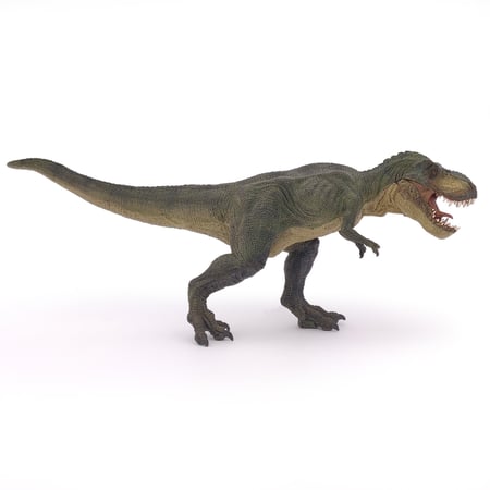 media/pim/t-rex-courant-vert-t-rex-courant-vert-3465000550271_9.jpg