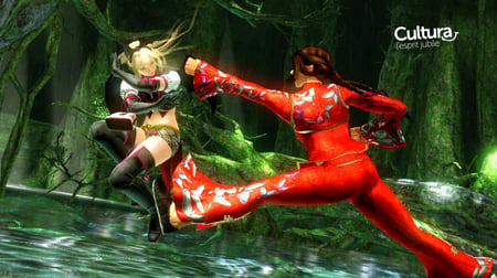 media/pim/tekken-6-3296580809905_3.jpg