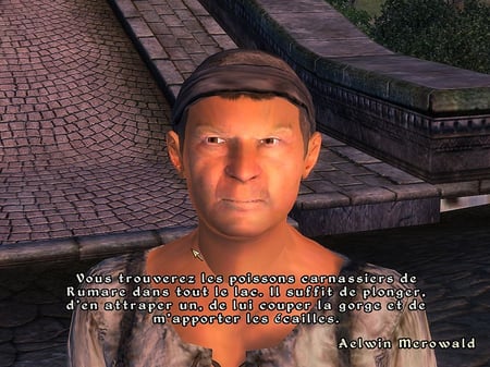 media/pim/the-elder-scroll-iv-oblivion-knights-of-the-nine-fr-dvd-rom-3307210243508_11.jpg