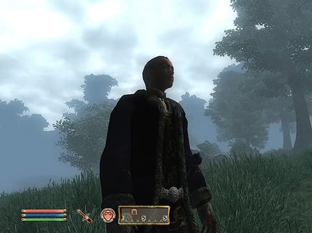 media/pim/the-elder-scroll-iv-oblivion-knights-of-the-nine-fr-dvd-rom-3307210243508_3.jpg