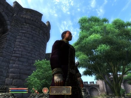 media/pim/the-elder-scroll-iv-oblivion-knights-of-the-nine-fr-dvd-rom-3307210243508_6.jpg