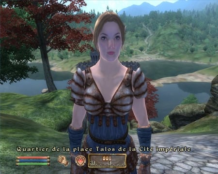 media/pim/the-elder-scroll-iv-oblivion-knights-of-the-nine-fr-dvd-rom-3307210243508_7.jpg