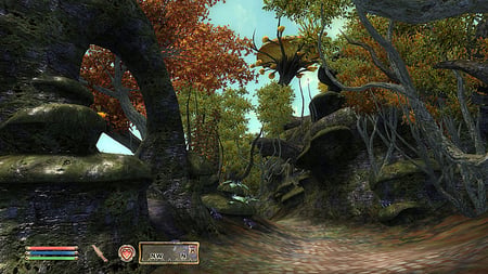 media/pim/the-elder-scroll-v-oblivion-shivering-isles-5026555052757_3.jpg