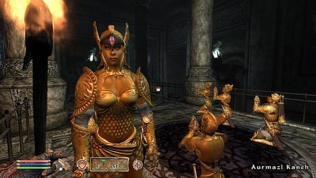 media/pim/the-elder-scroll-v-oblivion-shivering-isles-5026555052757_6.jpg