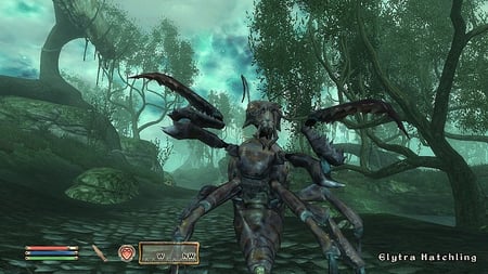 media/pim/the-elder-scroll-v-oblivion-shivering-isles-5026555052757_7.jpg