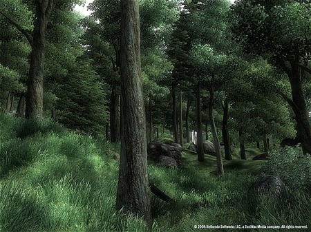 media/pim/the-elder-scrolls-iv-oblivion-5026555039536_2.jpg