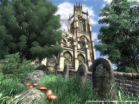media/pim/the-elder-scrolls-iv-oblivion-5026555039536_3.jpg