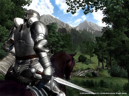 media/pim/the-elder-scrolls-iv-oblivion-5026555039536_4.jpg