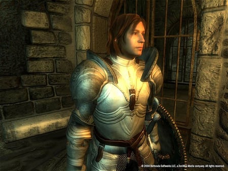 media/pim/the-elder-scrolls-iv-oblivion-5026555039536_5.jpg