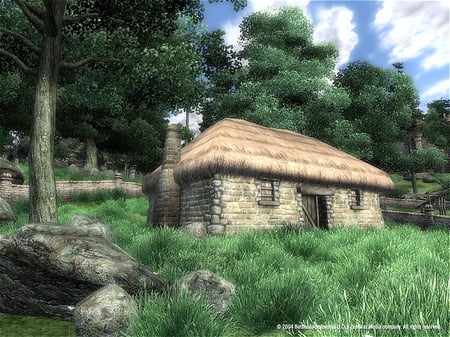 media/pim/the-elder-scrolls-iv-oblivion-5026555039536_8.jpg
