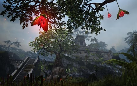 media/pim/the-elder-scrolls-online-5055856404637_9.jpg