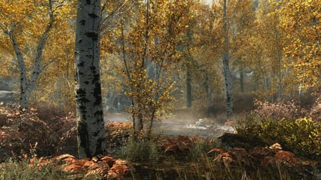 media/pim/the-elder-scrolls-v-skyrim-0045496421199_7.jpg