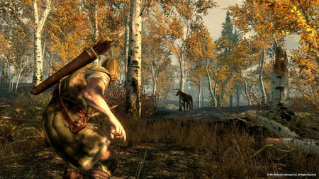 media/pim/the-elder-scrolls-v-skyrim-3700664522890_7.jpg