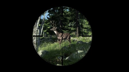 media/pim/the-hunter-2014-3700664512327_2.jpg