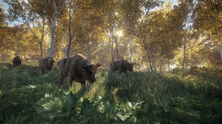 media/pim/the-hunter-call-of-the-wild-4041417850150_5.jpg