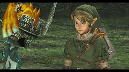 media/pim/the-legend-of-zelda-twilight-0045496335434_3.jpg