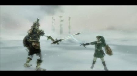 media/pim/the-legend-of-zelda-twilight-princess-wii-0045496362409_7.jpg