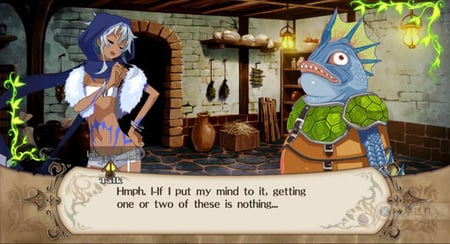 media/pim/the-witch-and-the-hundred-knight-0813633013428_6.jpg
