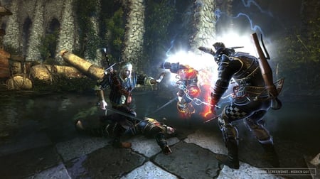 media/pim/the-witcher-2-3700664519272_3.jpg