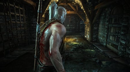 media/pim/the-witcher-2-3700664519272_5.jpg
