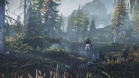media/pim/the-witcher-goty-3391891989763_10.jpg