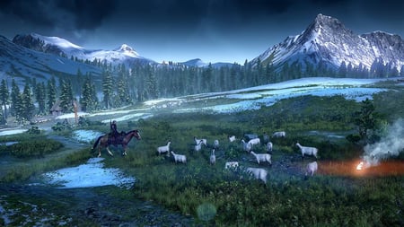media/pim/the-witcher-goty-3391891989763_4.jpg