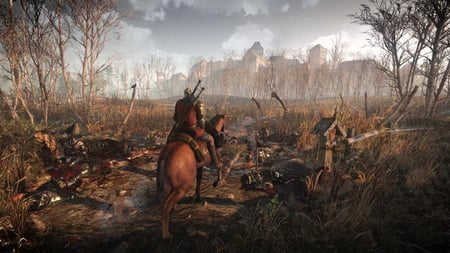 media/pim/the-witcher-goty-3391891989893_8.jpg