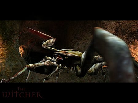 media/pim/the-witcher-pc-3546430130094_10.jpg